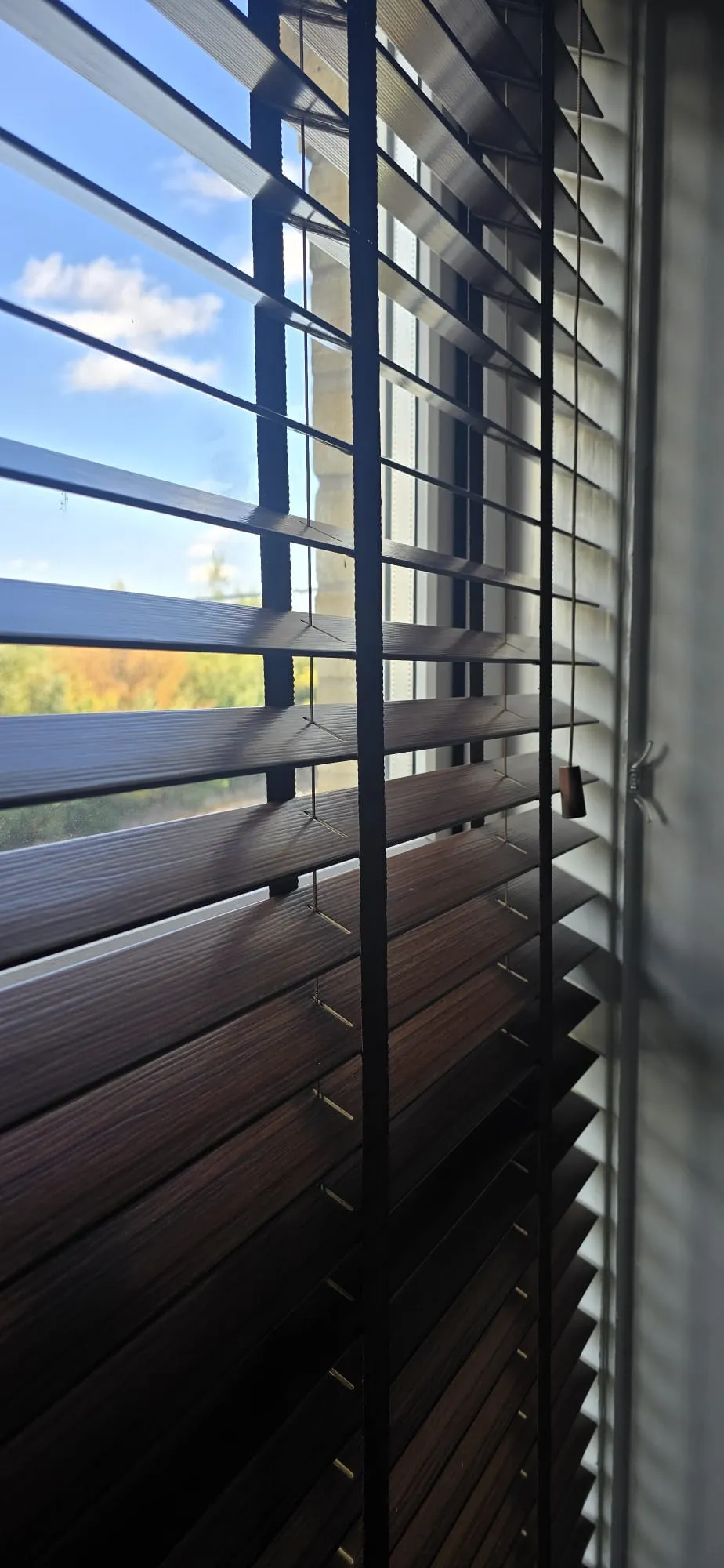 Dark walnut wooden Venetian blinds with an autumn view through the window