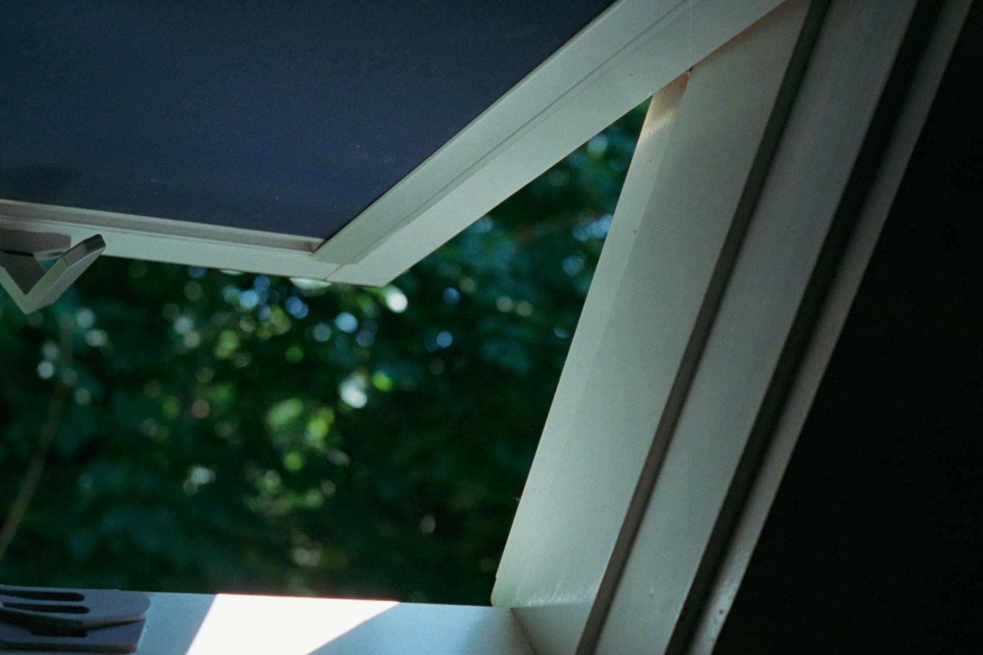 Open roof window revealing green treetops outside