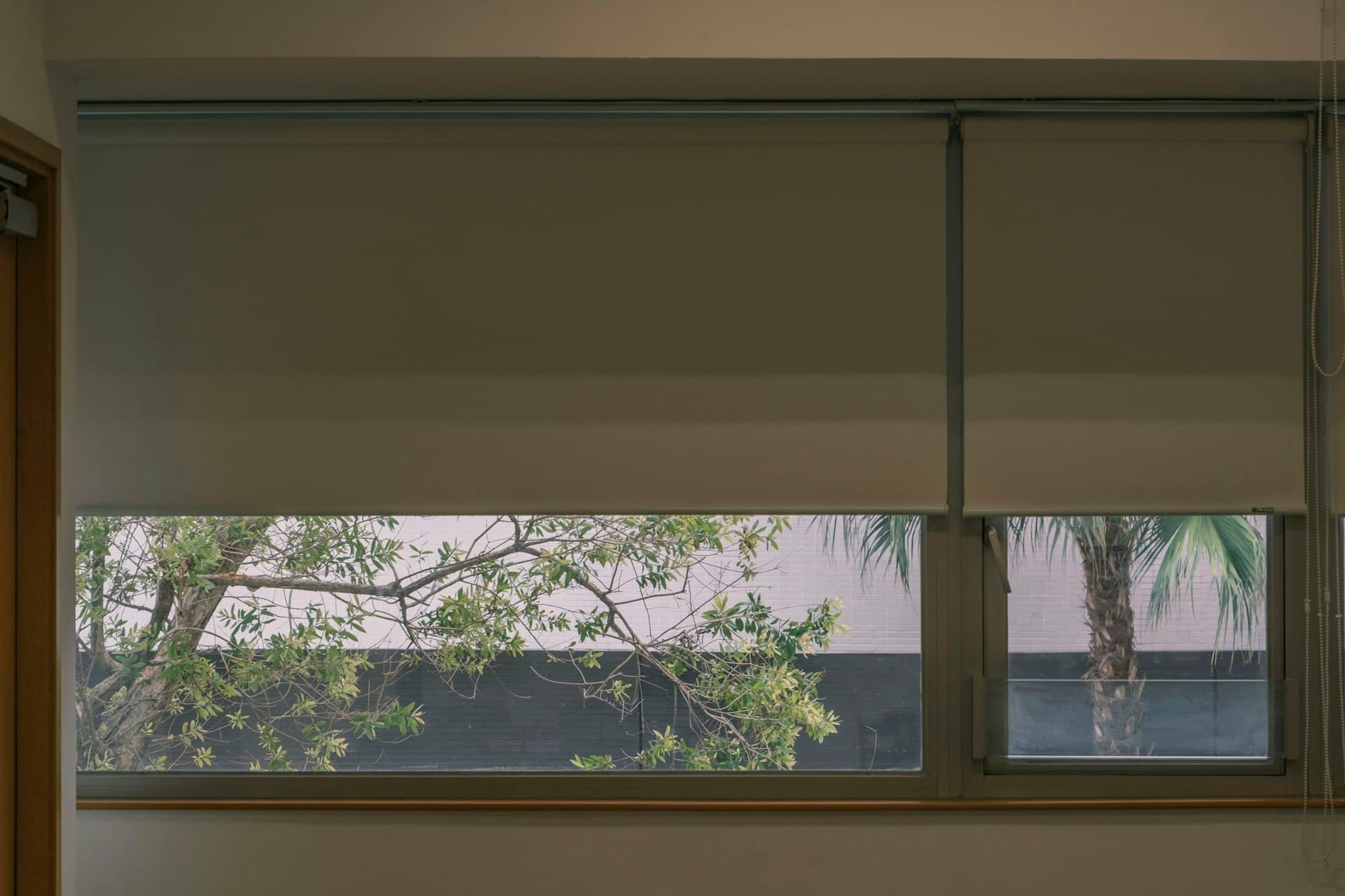 Roller blind fitted to a window overlooking green foliage