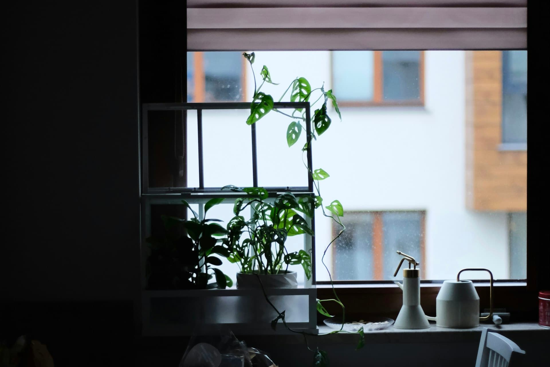 Roman fold blind above a windowsill with houseplants